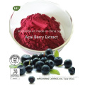 Acai Berry Extract Flavones 10%, 4: 1; 10: 1